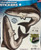 Salty Bones Double Cobia, weatherproof stickers of two cobia fish for car windows.