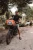 TURTLEBOX Audio Gen3 Speaker, image of a person riding a bicycle with a TURTLEBOX speaker mounted on the bike in an outdoor park setting.