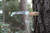 TOADFISH Toadfish 4" EDC Pocket Knife, stainless steel blade with Toadfish engraving, compact folding design, textured blue handle with metal clip for carrying, outdoor gear and everyday carry knife
