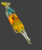 Psycho's Surf Fishing Ghost Shrimp Float Rigs Rattler & VooDoo, colorful shrimp fishing rigs with rattling and voodoo features