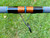 NICK'S CUSTOM RODS 2025 Fall Nick's Custom Rods - CTS 1205 Spinning, close-up of the fishing rod's eyelet and handle section with colorful wrapping, set outdoors with green grass background.