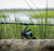 Toadfish Toadfish Carbon II Spinning Combos, fishing rod and reel set positioned on a log near a marsh, ideal for freshwater or saltwater fishing.