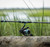 Toadfish Toadfish Carbon II Spinning Combos, image of a fishing rod and reel resting on a log near a body of water with tall grass in the background.