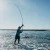 Toadfish Surf Combo