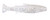 Z-MAN FISHING PRODUCTS INC. Z-Man Mulletron Loose Body, clear soft plastic fishing lure with holographic glitter for freshwater and saltwater fishing.