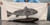 Fishin' Prints Kit, a product for creating fish-themed prints, featuring a detailed print of a fish on a fabric banner and a real fish placed underneath for comparison.