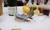 Toadfish Abalone Oyster Shucking Knife