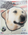 Salty Bones Yellow Lab