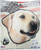 Salty Bones Yellow Lab Weatherproof Sticker, featuring a realistic image of a yellow Labrador Retriever dog, with a patriotic American flag background, suitable for outdoor use.