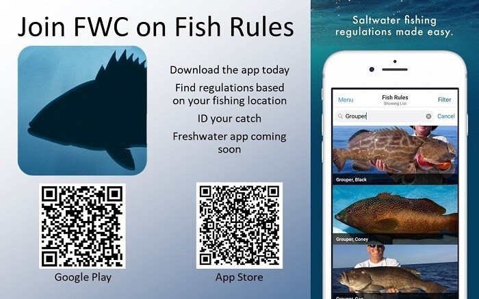 Fish Rules App QR Installation Codes