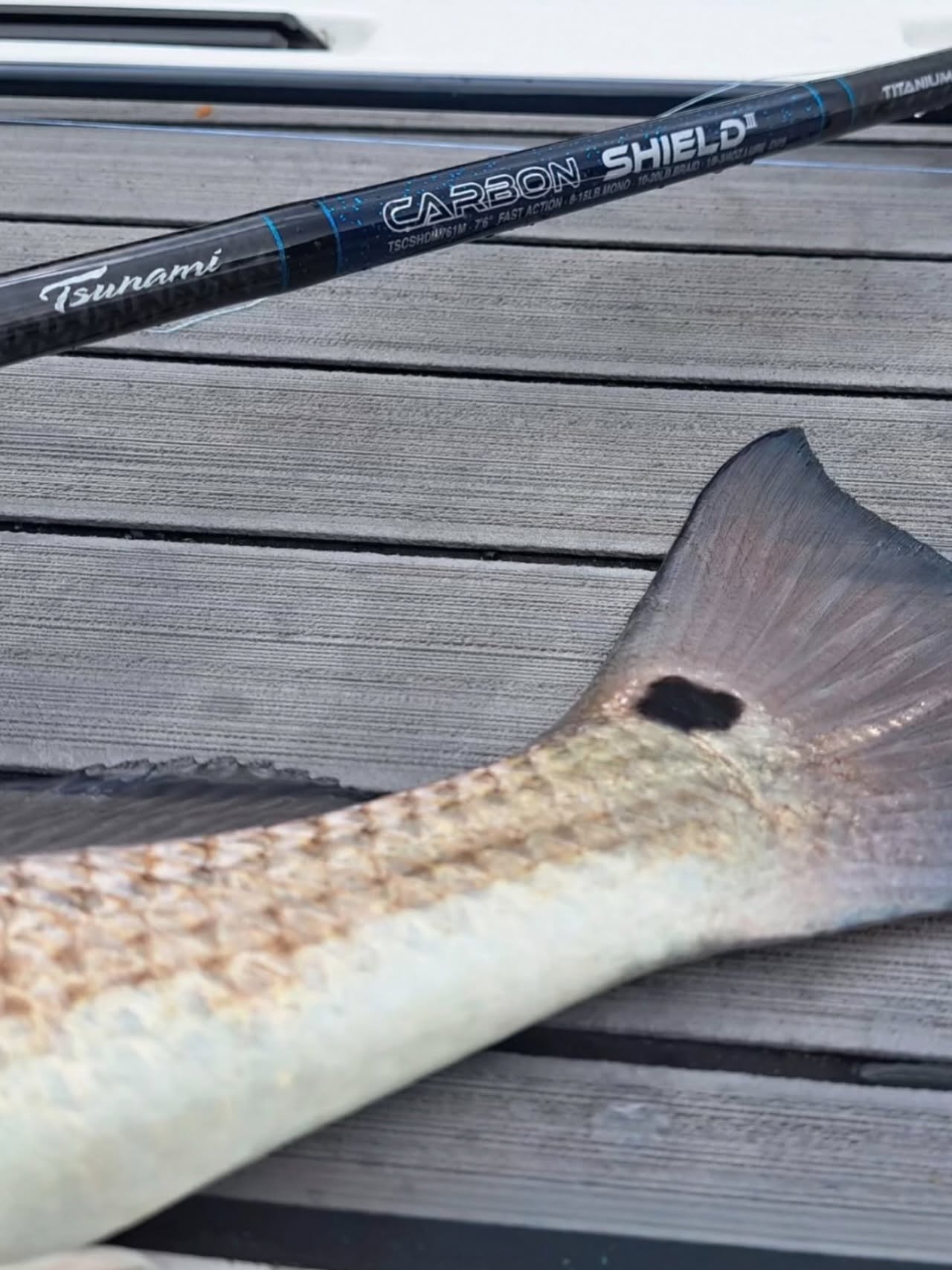 Best Lures for Pamlico Sound Fishing