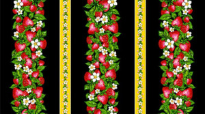 Carla Joseph - Strawberry Dreamcatcher - Stripe - Black