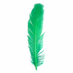 12" Turkey Quills -Green