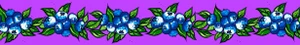 Carla Joseph - Blueberry - Purple