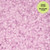 11/0 Glow in Dark - Violet 25g Bag