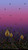 Betty Albert - July Moon - Single Border Metallic - Dark Rose Purple