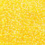Transparent Iris Yellow