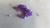 Dyed Chalk Purple Solgel