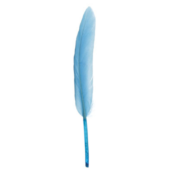 Small Duck Wing Quill -Turquoise