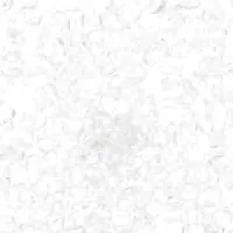 8/0 Transparent Crystal 22g