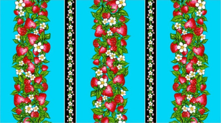 Carla Joseph - Strawberry Dreamcatcher - Stripe - Blue