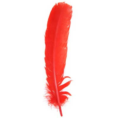 12" Turkey Quills -Red
