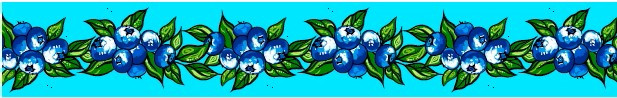 Carla Joseph - Blueberry - Aqua
