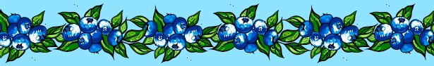 Carla Joseph - Blueberry - Lt. Blue