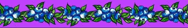 Carla Joseph - Blueberry - Purple