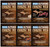 Cooking Wild Seasonings Variety 6 Pack - DEER CAMP