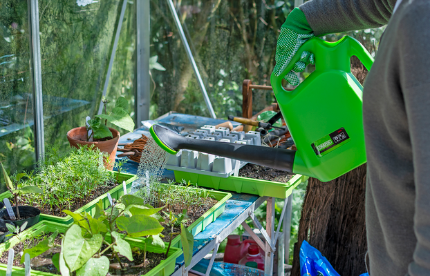 Gardening Responsibly: How to Water Plants During a Hosepipe Ban