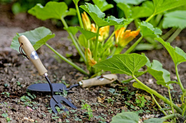 Get Growing for National Allotments Week