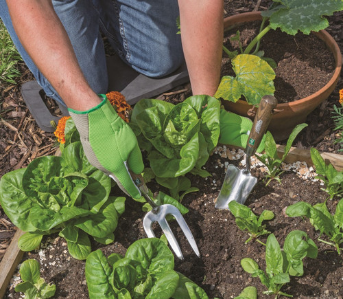 Embracing Organic September in the garden