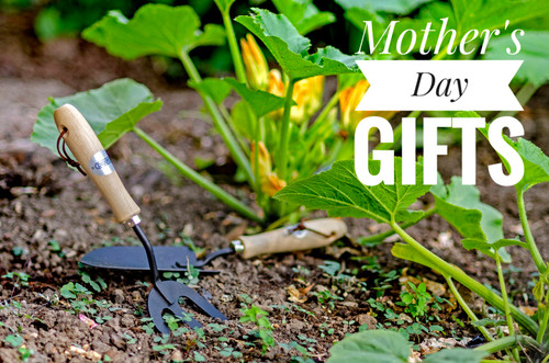 Mother's Day Gift Ideas