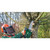 Petrol Chainsaw with Oregon® Chain and Bar, 250mm, 25.4cc - 15042_iu1.jpg