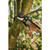 Draper Expert Anvil and Bypass Secateurs Set, 200mm (2 Piece) - 08986_iu4.jpg