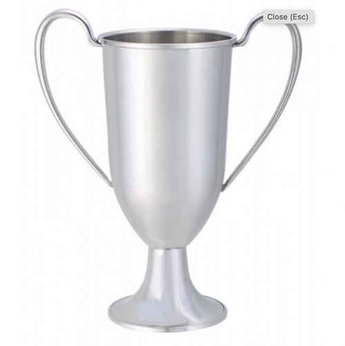 Classic Loving Cup Trophy 9"