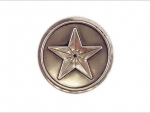 Pewter Star Medallion