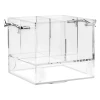 Caddy Lucite - Twig Silver Handles