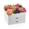Caddy +Al Hamichya - Silverware Caddy - Clear/White