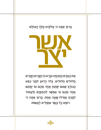 AM ASHER YATZER 2.35X4