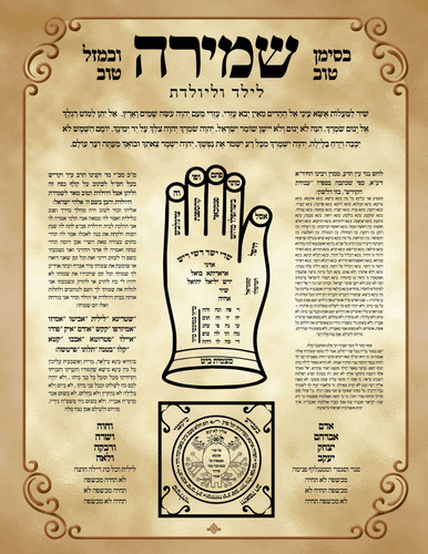 AM SHMIRA LYOLDES 5.5X8