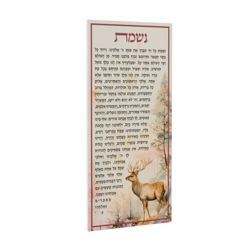FDT NISHMAT ART