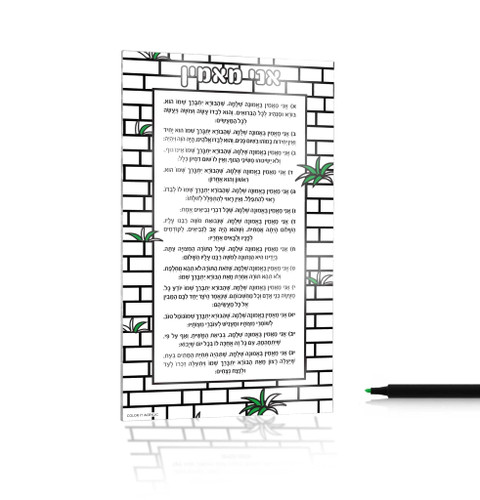 Color It Lucite Ani Maamin - 4X7