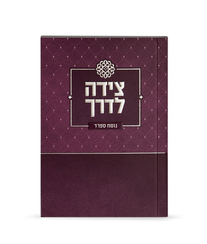 SIM NEW TZEIDAH LADERECH3