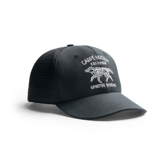 Carpe Noctem Trucker Hat