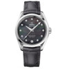 Omega Seamaster Aqua Terra Women's Diamond Automatic Watch - 231.13.39.21.57.001