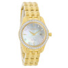 Citizen Eco-Drive Silhouette Women's Crystal Gold Tone  Watch EW1907-78D