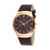 Skagen Black Label Men's Brown Dial Quartz Watch 583XLRLM