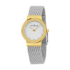 Skagen Classic Women's Quartz Silver Stainless Steel Watch 358SGSCD